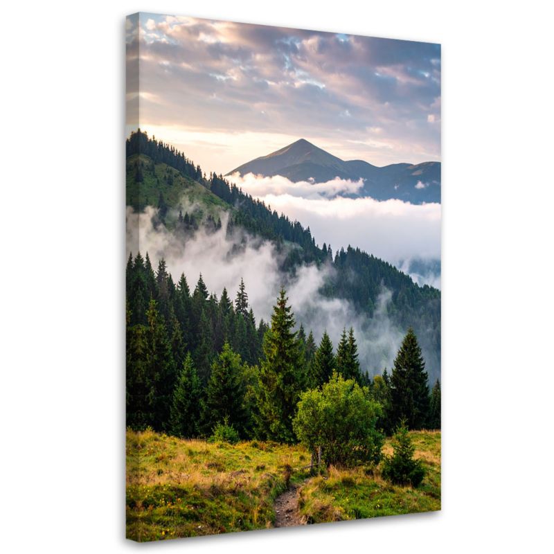 Obraz do salonu Feeby Pejzaż górski Las Drzewa 70x100cm 1szt