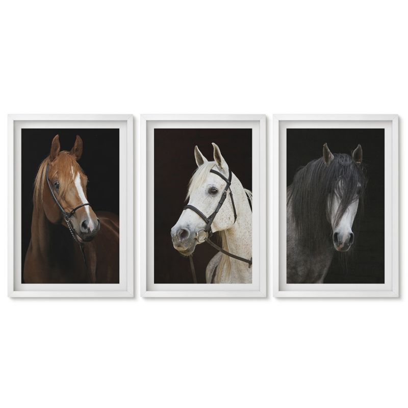 Obrazy w białej ramie Tulup 40x60 cm Portrety koni w odcieniach sierści Obrazy do kuchni w ramie 1 kpl