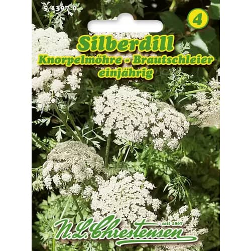 1 szt, Aminek wielki - Nasiona: Ilość w opakowaniu: 85 szt.