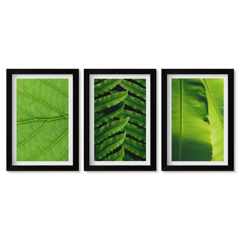 Obrazy w czarnej ramie Tulup 20x30 cm Liście tropikalne makrofotografia Dekoracja ścienna do przedpokoju 1 kpl