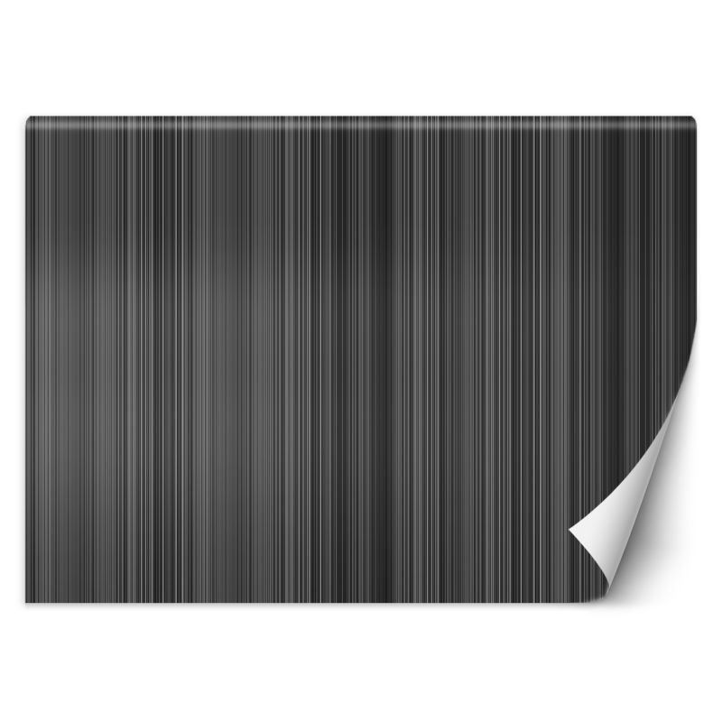 Fototapeta Feeby Linie pasy abstrakcja 450x315 1 szt