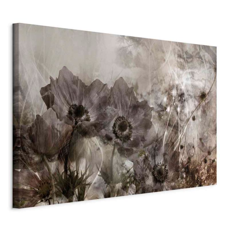 Obraz Artgeist Anemony w sepii 60 x 40 cm płótno włoskie 1 szt
