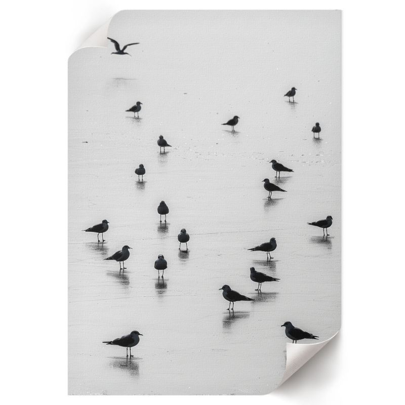 Plakat Do Kuchni ArtPrintCave 59,5x84 cm Ptaki przybrzeżne Sage 1 szt.
