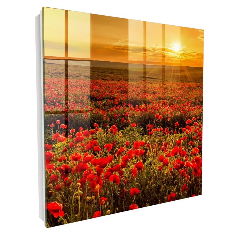 Wieszak Na Klucze Zamykany Tulup 30x30 cm pola maków - Biała - Otwierana na prawo 1 szt.