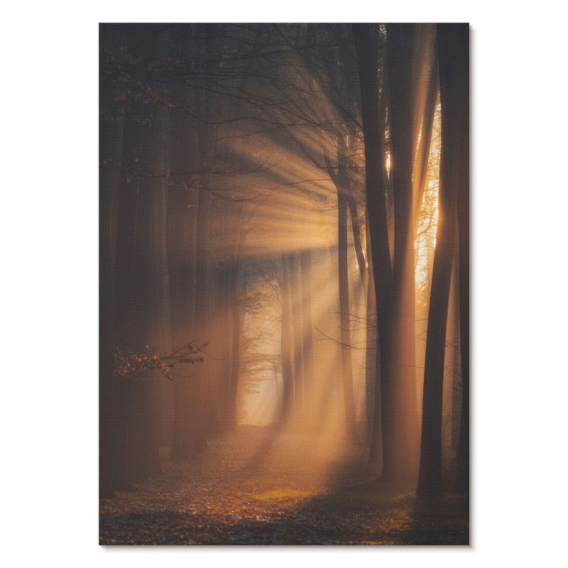 Plakat na Płótnie Tulup 59,4,x84 cm (A1) Leśny świt Do salonu, sypialni, biura 1 szt.