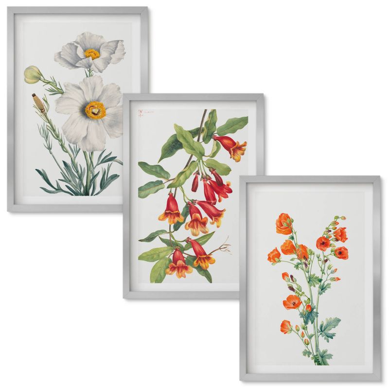 Obrazy do Salonu Wallfluent Kwiatowe kompozycje retro Srebrna rama 40x60 cm 3 szt.