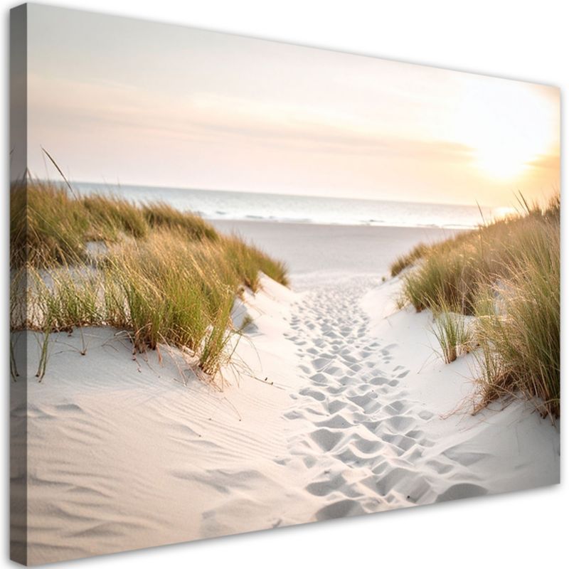 Obraz do salonu nowoczesny Feeby Ścieżka na plażę piasek morze rośliny 120x80cm 1szt