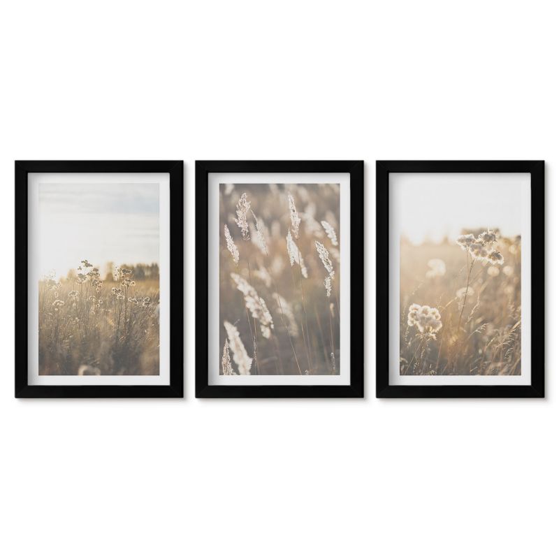 Komplet obrazów czarna rama Tulup 20x30 cm Krajobraz trawy kwiaty ciepło Galeria ścienna 1 kpl