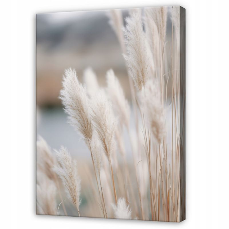 Obraz WALLARENA Do Sypialni Salonu Na Płótnie Trawa pampasowa Pejzaż Natura Beżowy 80x120 cm SPP16471O20 1 szt.