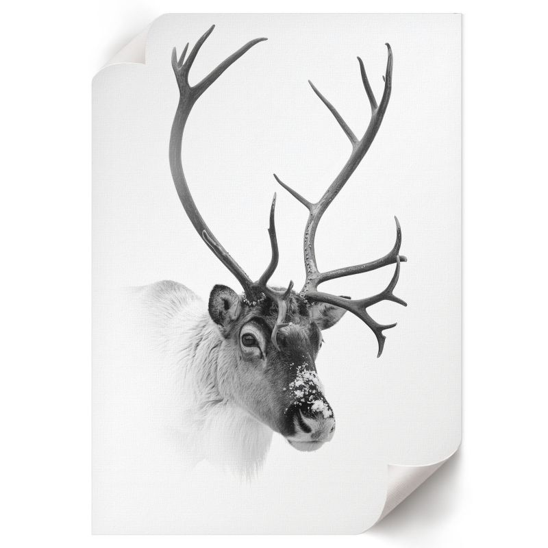 Plakat Do Kuchni ArtPrintCave 42x59,5 cm Renifer zimowy Nyra 1 szt.