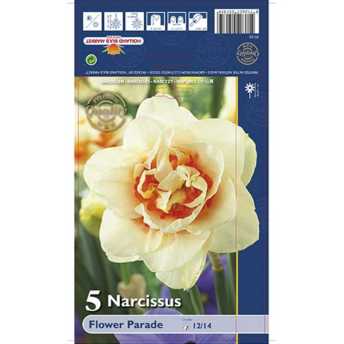 5 cib, Narcis Flower Parade - : Monžstvo balíkov: 5 cib