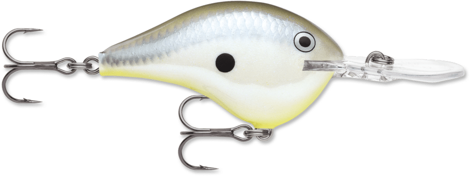 Rapala Wobler DT 12 Pływający 6cm #DSSD