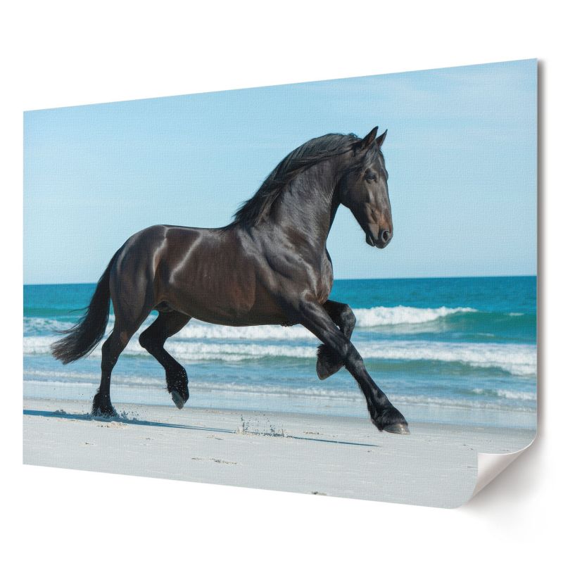 Plakat canvas Wallfluent Format A3 Koń w galopie Artysta Papaya 1 szt.