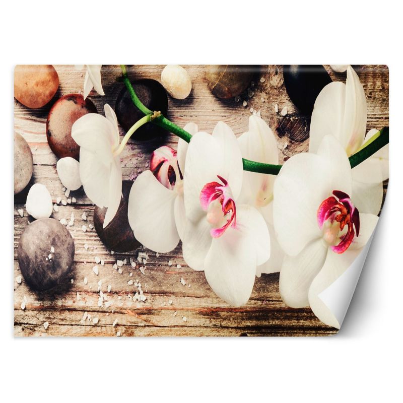 Fototapeta Feeby Orchidea zen feng shui 250x175 1 szt