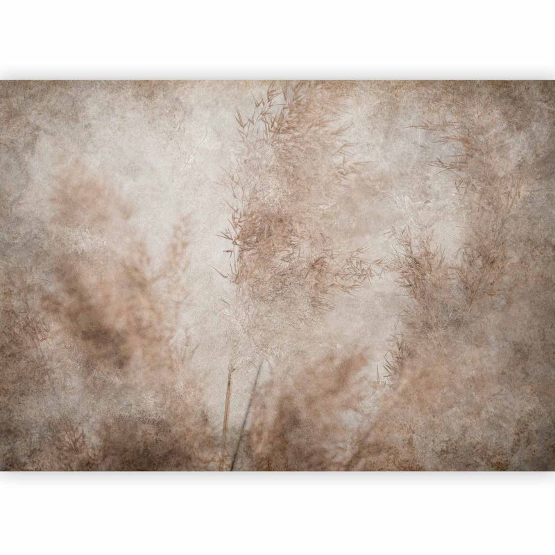 Fototapeta flizelinowa Artgeist 110g/m2 Kwiaty beżowa 200x140 (4 części) 10050aa rolka 1 szt