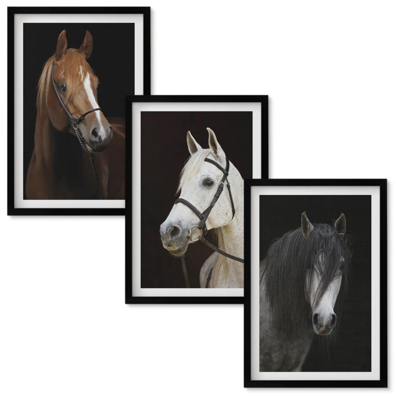 Obrazy Do Sypialni Wallfluent Portrety koni w odcieniach sierści Czarna rama 40x60 cm 3 szt.
