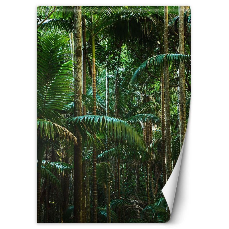 Fototapeta Feeby Tropikalny las natura 200x280 1 szt