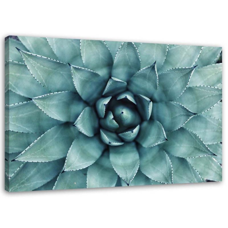 Obraz na płótnie Feeby Niebieski aloes 60x40cm 1szt