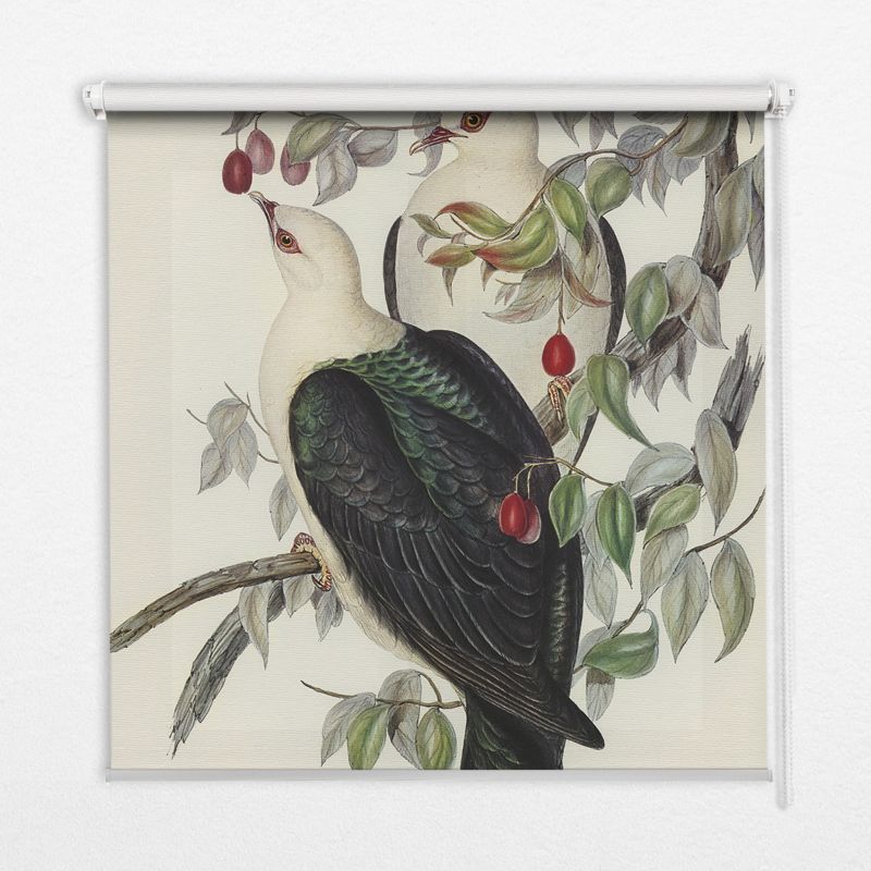 Roleta Do Okien Tulup 140x140 cm Ptaki Na Gałęzi Montaż do ściany/sufitu 1 szt.