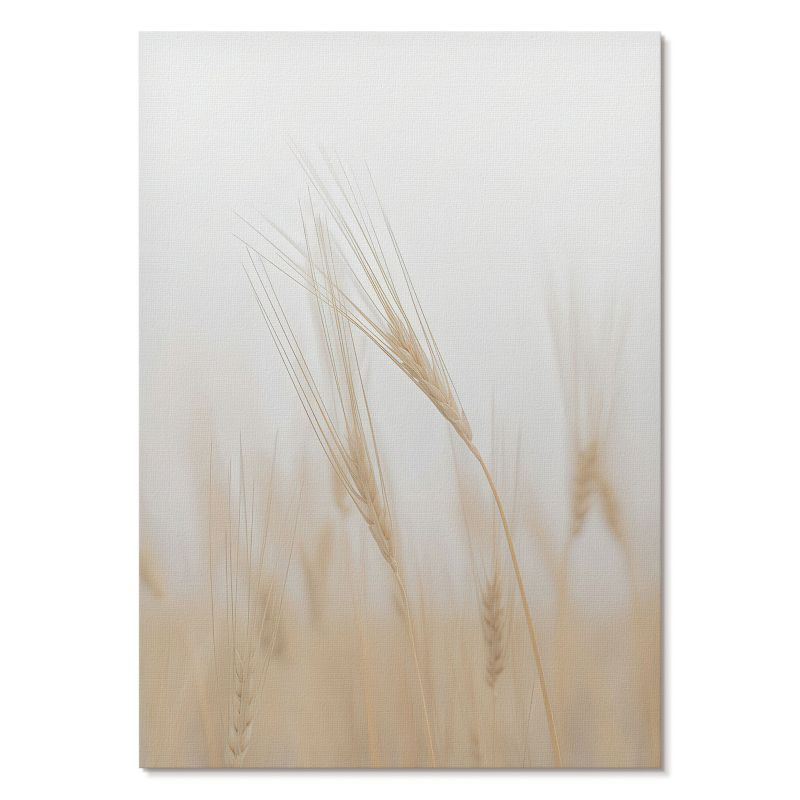 Plakat na Płótnie Tulup 42x59,4 cm (A2) Kłosy zboża Do sypialni, salonu, biura 1 szt.