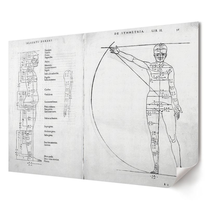 Plakat Wallfluent Format A1 Rysunek człowieka Artysta Albrecht Dürer 1 szt.