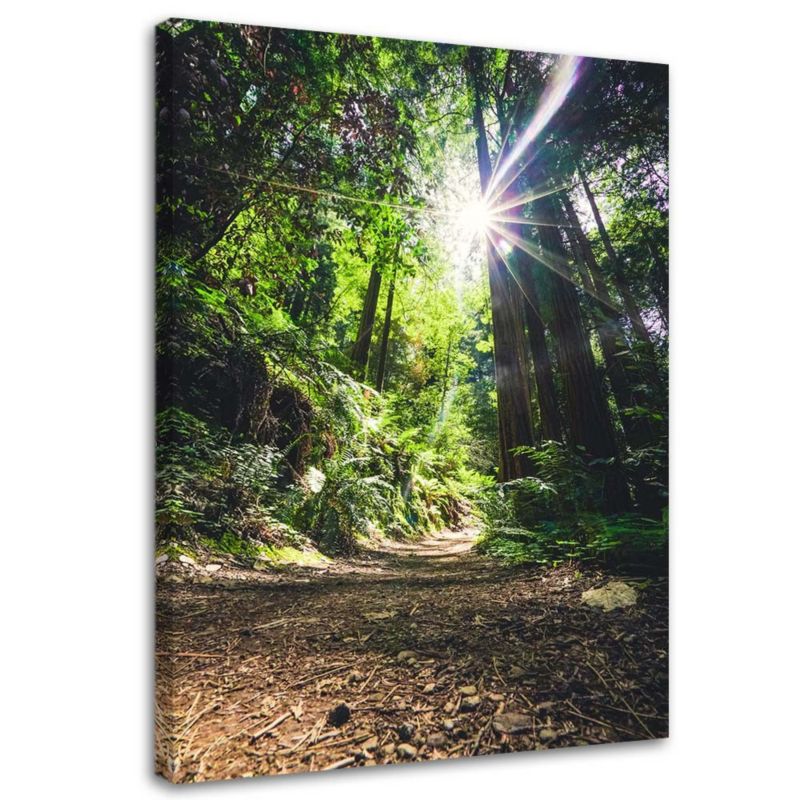 Obraz na płótnie Feeby Dżungla las tropikalny 60x90cm 1szt
