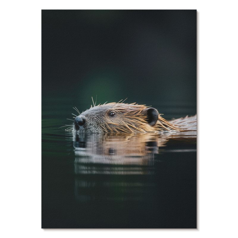 Plakat na Ścianę Tulup 21x29,7 cm (A4) Bóbr w wodzie Do salonu, biura, sypialni 1 szt.