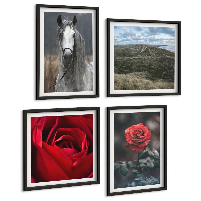 Zestaw Obrazów 4 Częściowy ArtPrintCave (2x50x50+2x40x60cm) Czarna rama Czerwone róże koń szare tło 1 kpl.