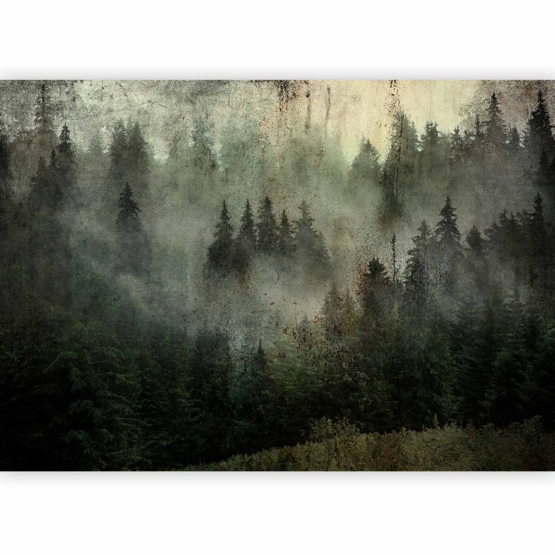 Fototapeta flizelinowa Artgeist 170 g/m2 wodoodporna Pejzaże zielona 400x280 (8 części) 10016aa rolka 1 szt