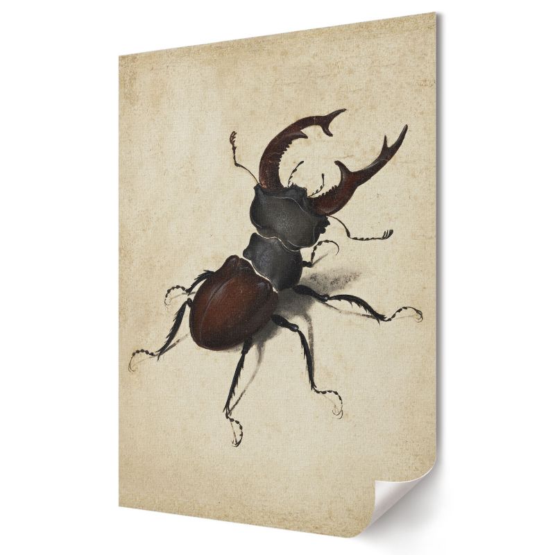 Plakat Wallfluent Format A4 Jelonek rogacz Artysta Albrecht Dürer 1 szt.