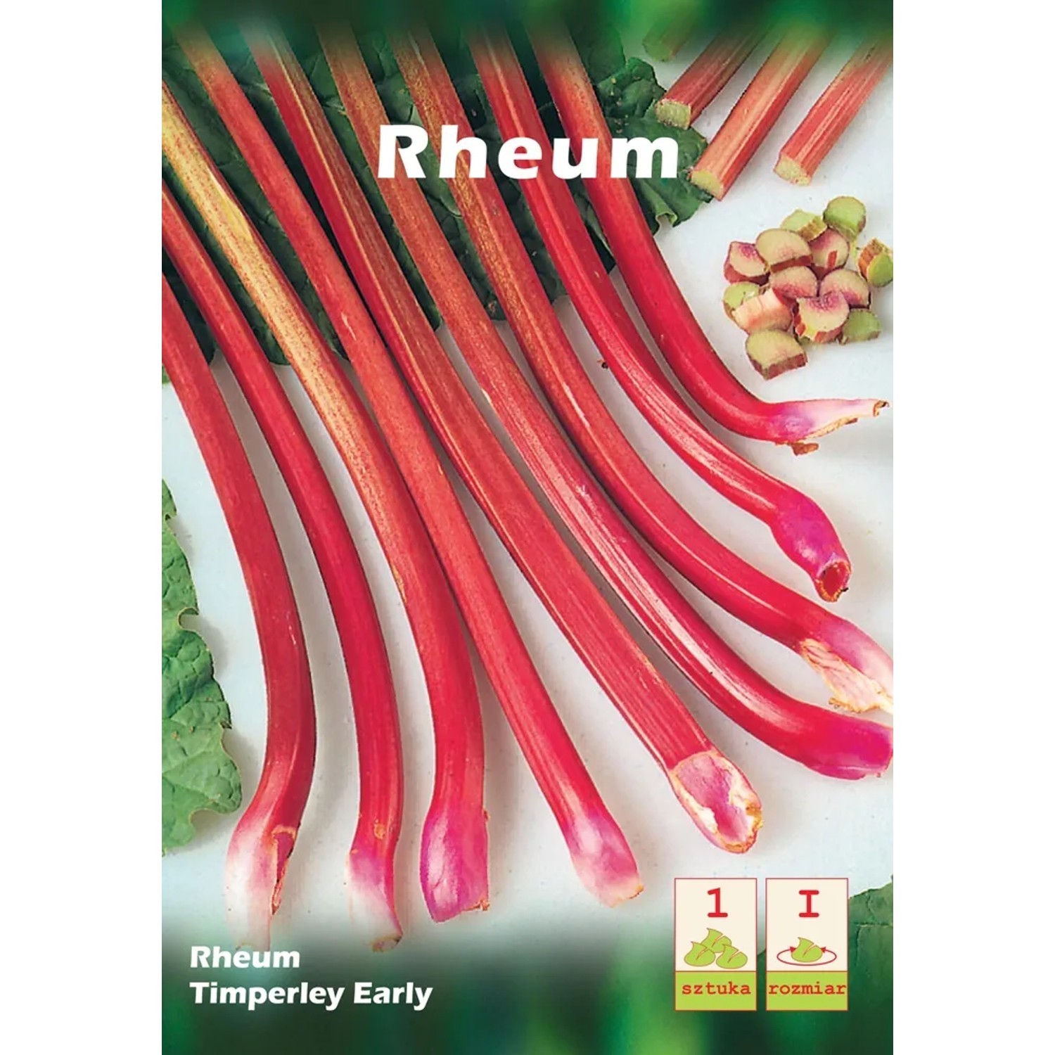 Rabarbar Rheum Timperley Early 1szt.