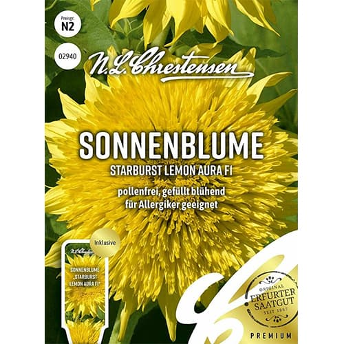 1 szt, Sonnenblume Starburst Lemon Aura F1 - Samen: Ilość w opakowaniu: 1 Stück