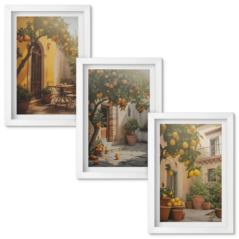 Obraz Ścienny Zestaw Wallfluent Słoneczne patio cytrusy doniczki Biała rama 20x30cm 3 szt.
