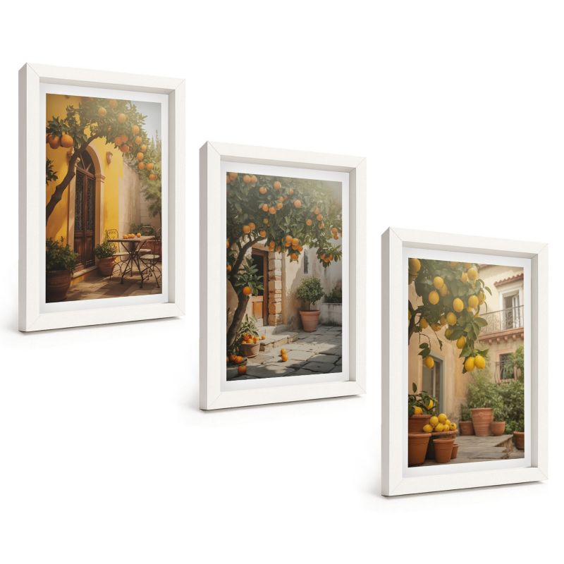 Galeria 3 Obrazów w Białej Ramie ArtPrintCave 20x30 cm Komplet ścienny Słoneczne patio cytrusy doniczki 1 kpl.