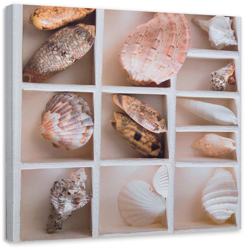 Obraz na płótnie Feeby Posegregowane muszelki w pudełku 20x20cm 1szt
