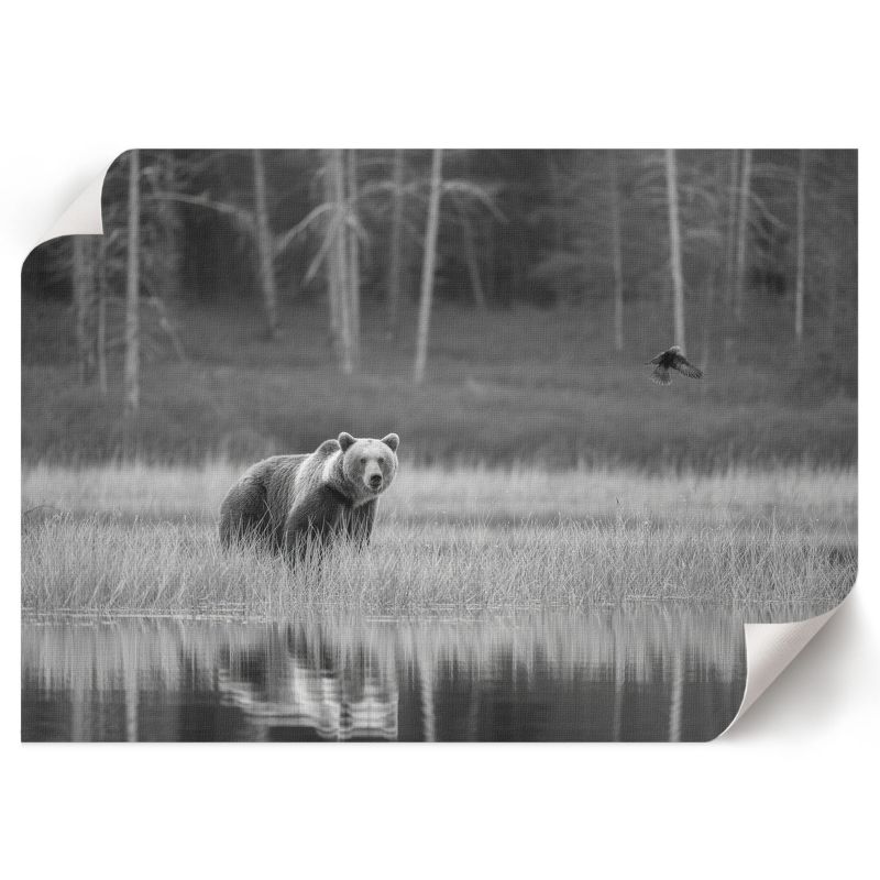 Plakat Dekoracyjny ArtPrintCave 29,7x21 cm Leśna scena Ivara 1 szt.