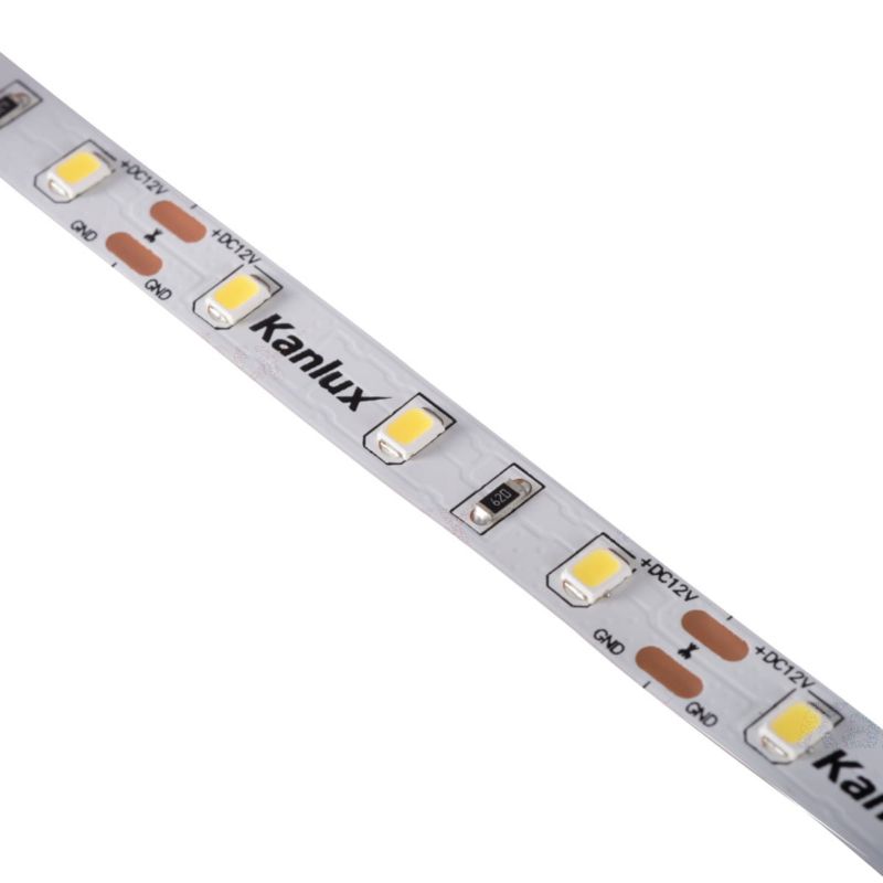 Taśma pasek LED SMD 55W/5m 12V zimna barwa Kanlux 1 szt.