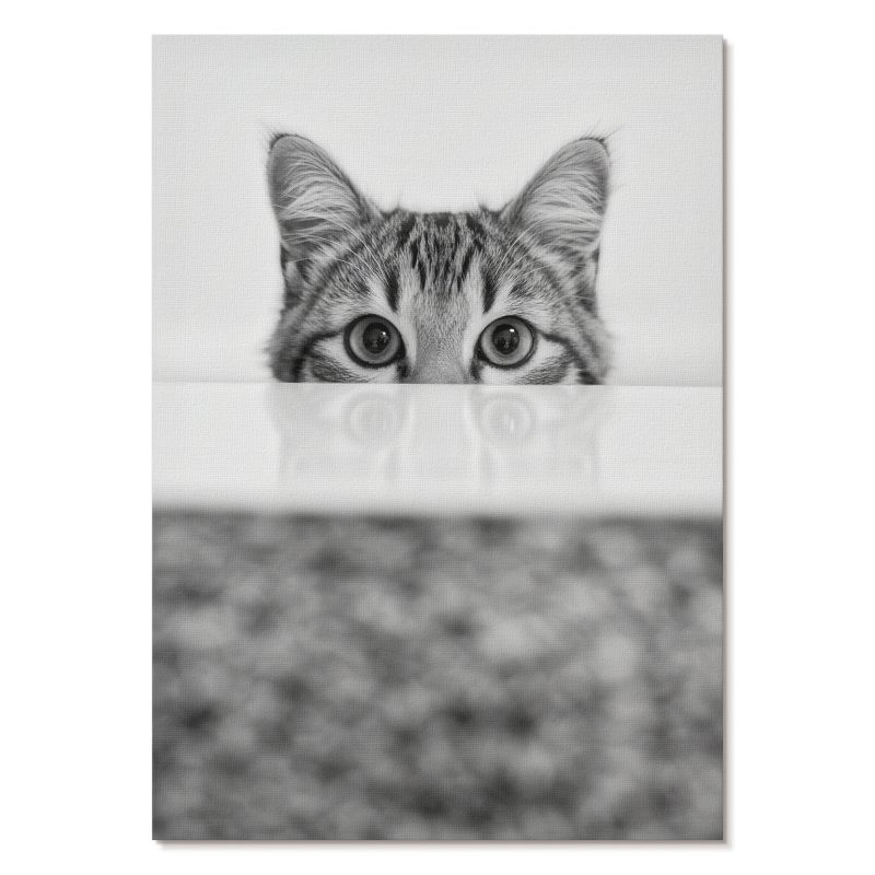 Plakat na Płótnie Tulup 29,7x42 cm (A3) Koci portret Do sypialni, biura, salonu 1 szt.