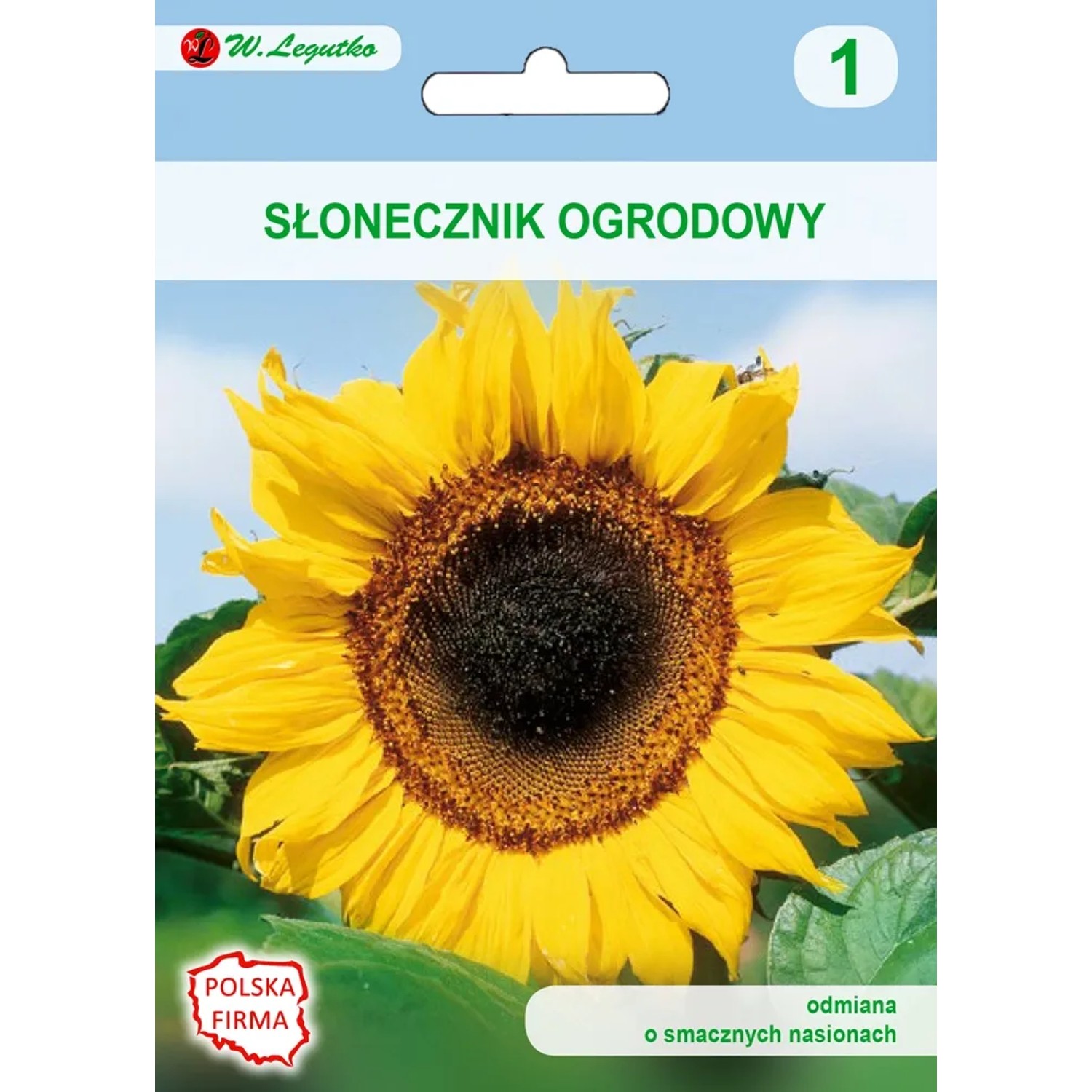Słonecznik ogrodowy jadalny 20,00g