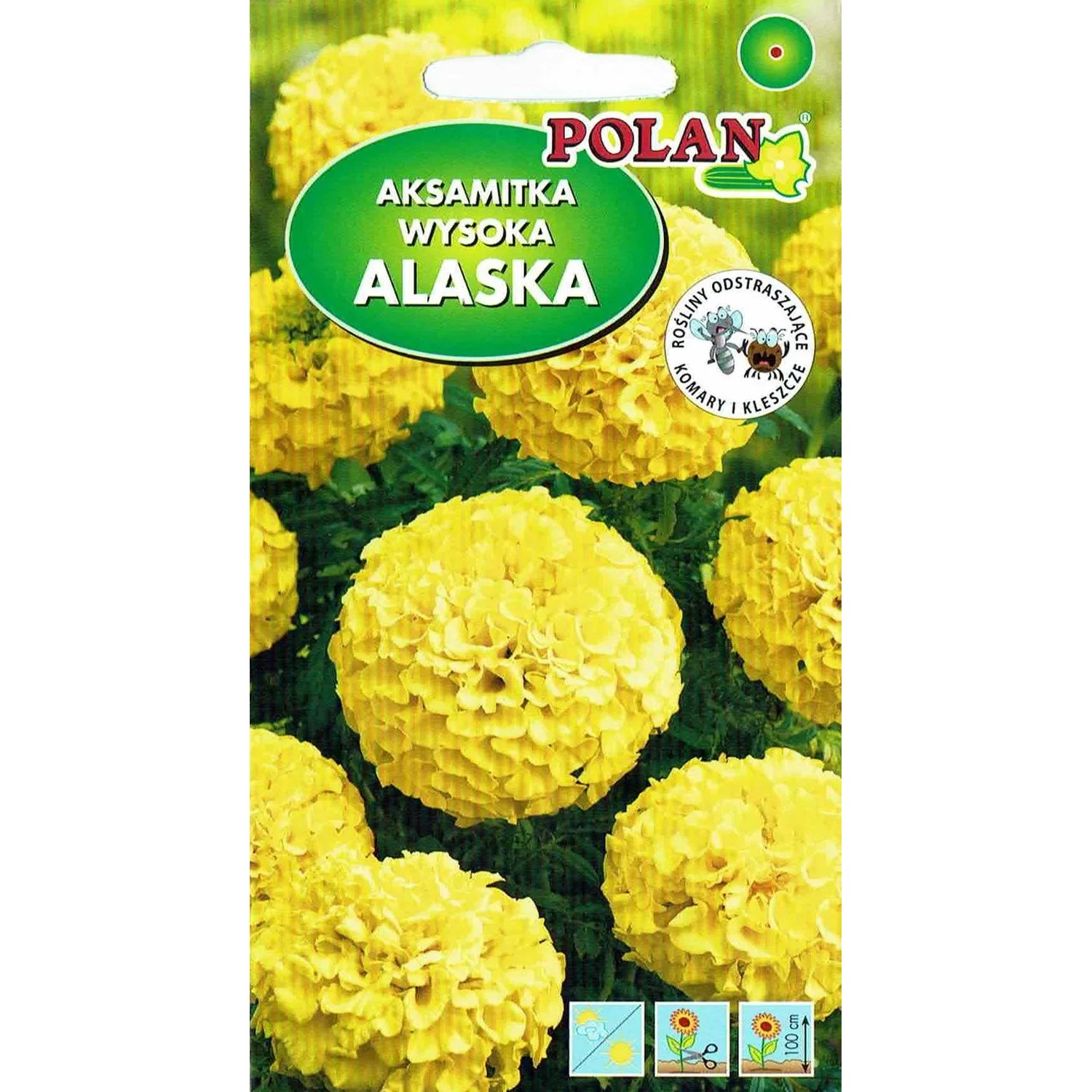 Aksamitka wyniosła żółta Alaska 2 g