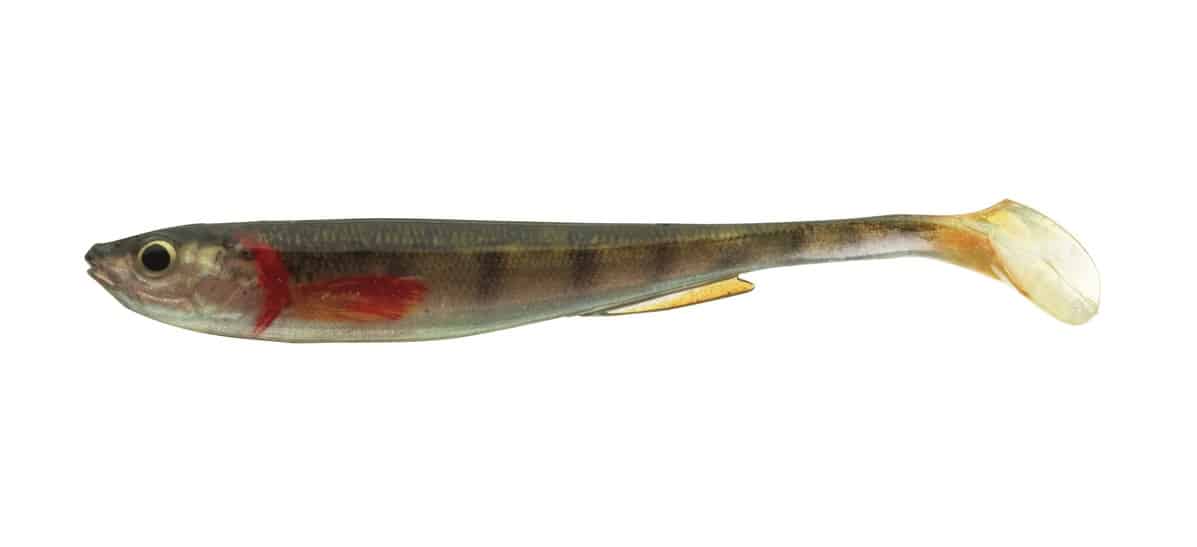 Daiwa Guma Prorex Real Slim Shad Live Gold Perch 13,5cm