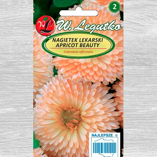 1 szt, Nagietek lekarski Apricot Beauty Legutko - Nasiona: Ilość w opakowaniu: 2 g