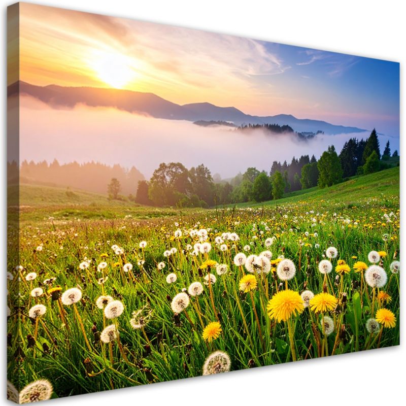 Obraz do salonu sypialni biura Feeby Łąka dmuchawce pejzaż górski 100x70cm 1szt