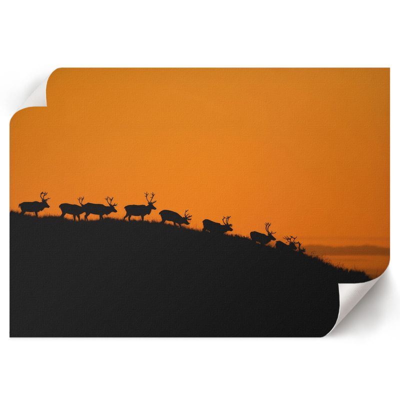 Plakat Ścienny ArtPrintCave 84x59,5 cm Jelenie na wzgórzu Nadia Nowak 1 szt.