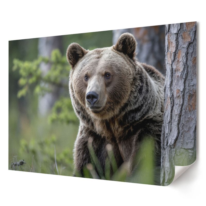 Plakat na ścianę Wallfluent Format A4 Niedźwiedź w lesie Artysta Ivara 1 szt.