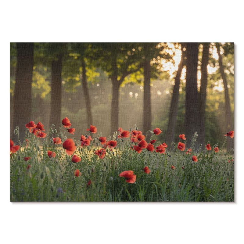 Nowoczesny Plakat na Płótnie Tulup 42x29,7 cm (A3) Maki i las Do sypialni, salonu, biura 1 szt.