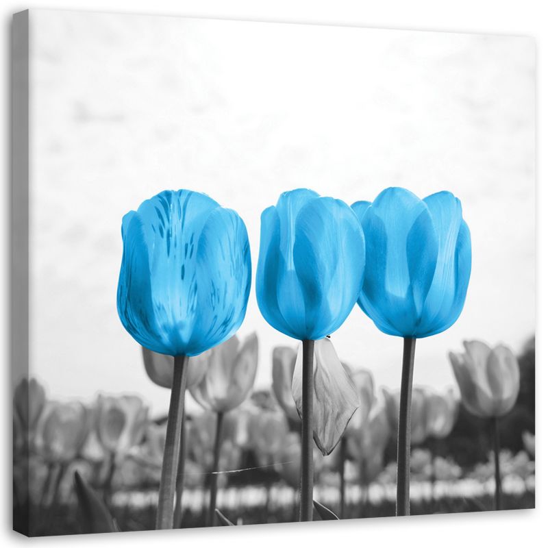 Obraz Feeby Niebieskie tulipany na łące 50x50cm 1szt