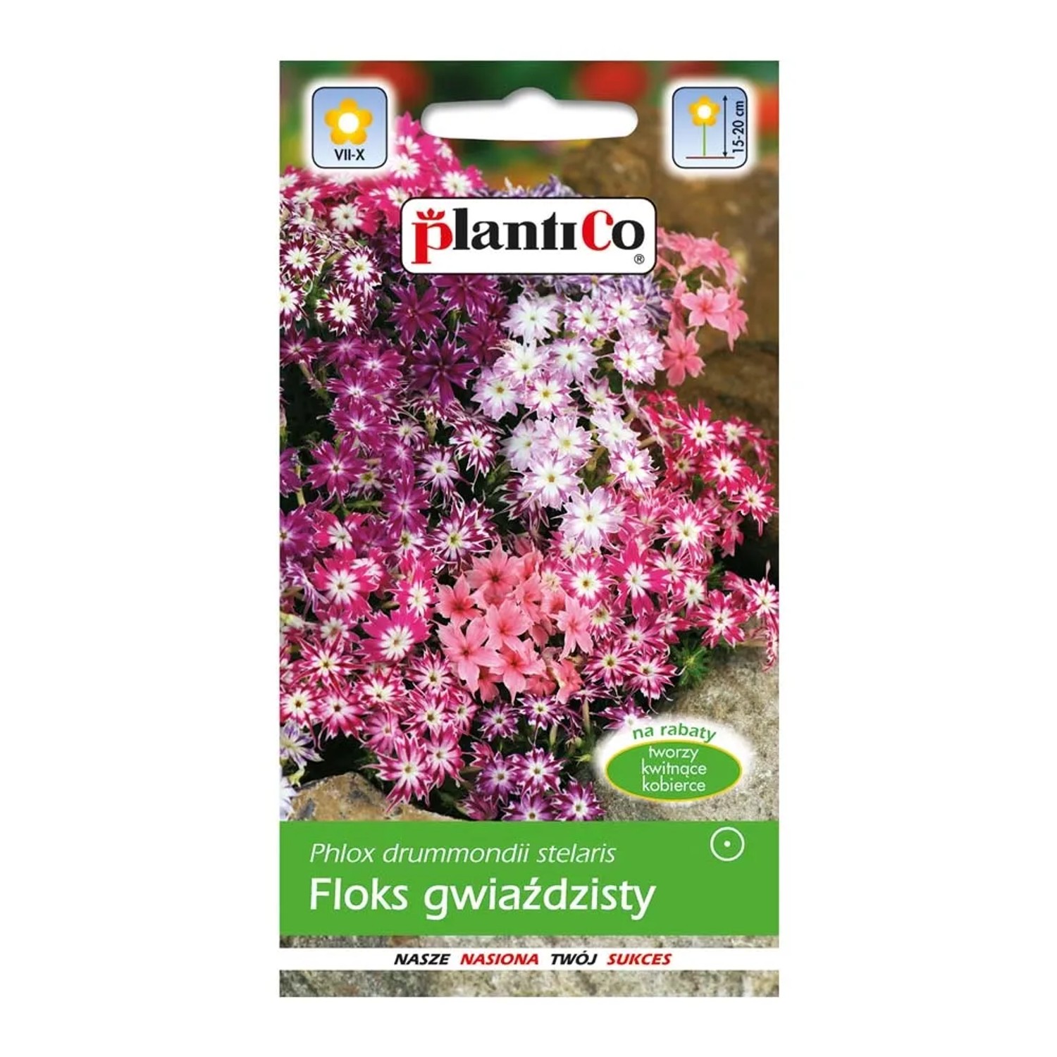 Floks gwiaździsty mix