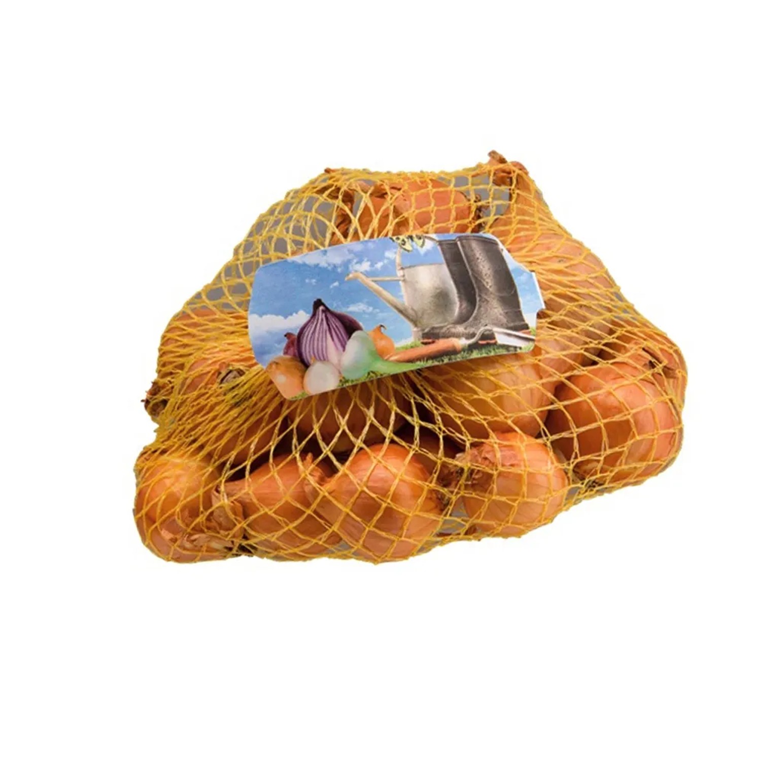 Cebula szalotka Red Sun 7-15 250g