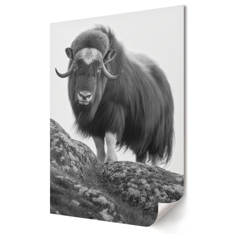 Plakat Wallfluent Format A3 Bawół na wzgórzu Artysta Nyra 1 szt.